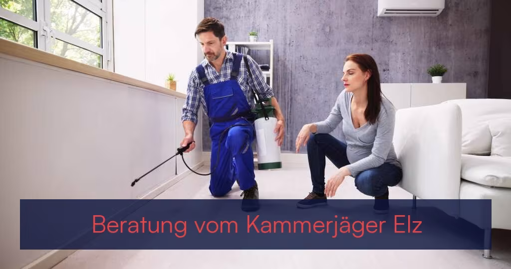 Beratung vom Kammerjäger {Stadt(city_name)