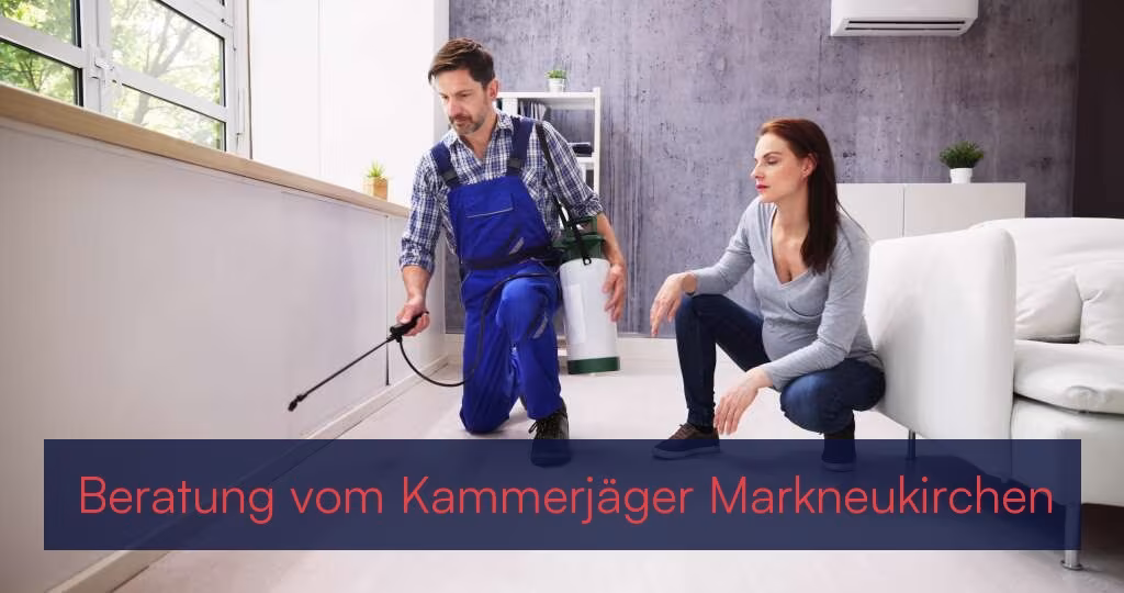 Beratung vom Kammerjäger {Stadt(city_name)