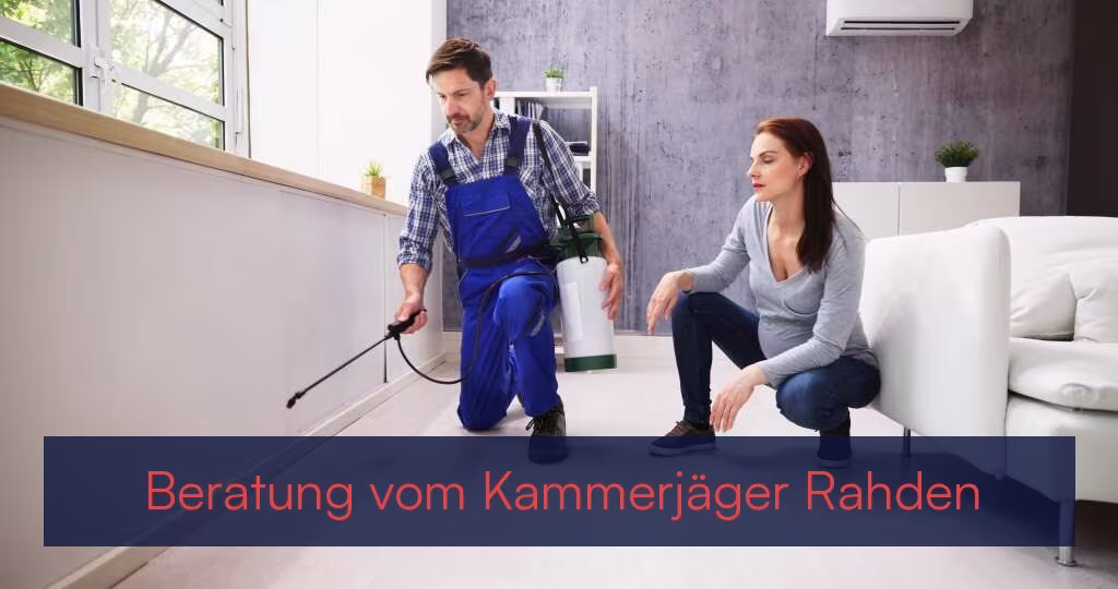 Beratung vom Kammerjäger {Stadt(city_name)