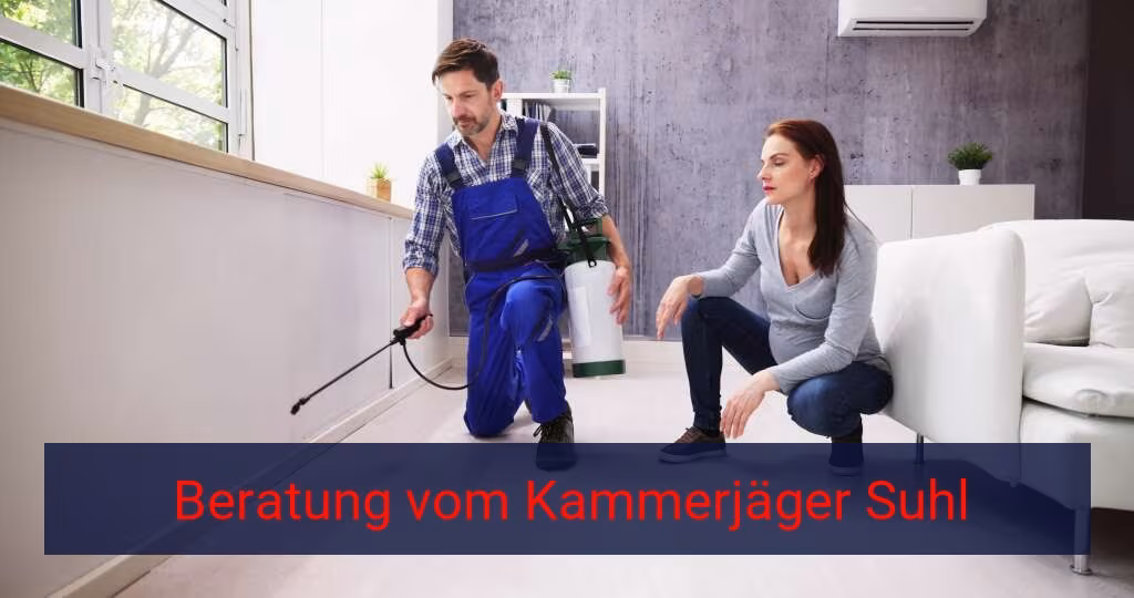 Beratung vom Kammerjäger {Stadt(city_name)