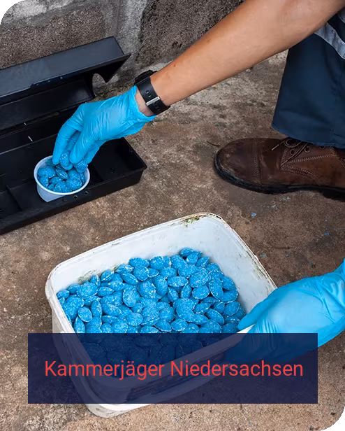 Kammerjäger Niedersachsen
