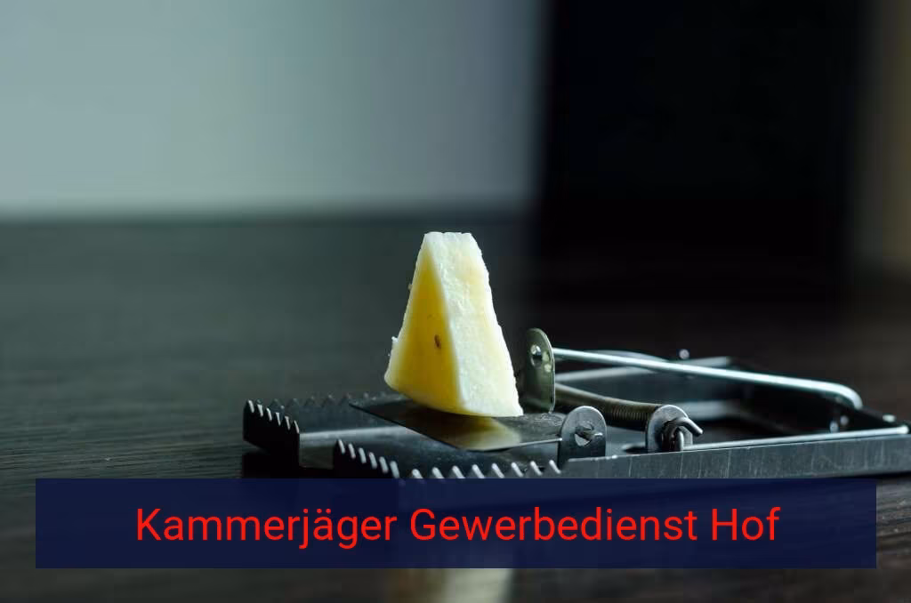 Kammerjäger Gewerbedienst Hof