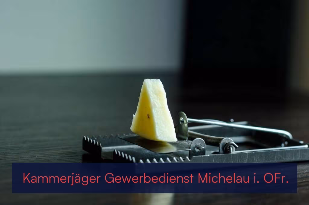 Kammerjäger Gewerbedienst Michelau i. OFr.