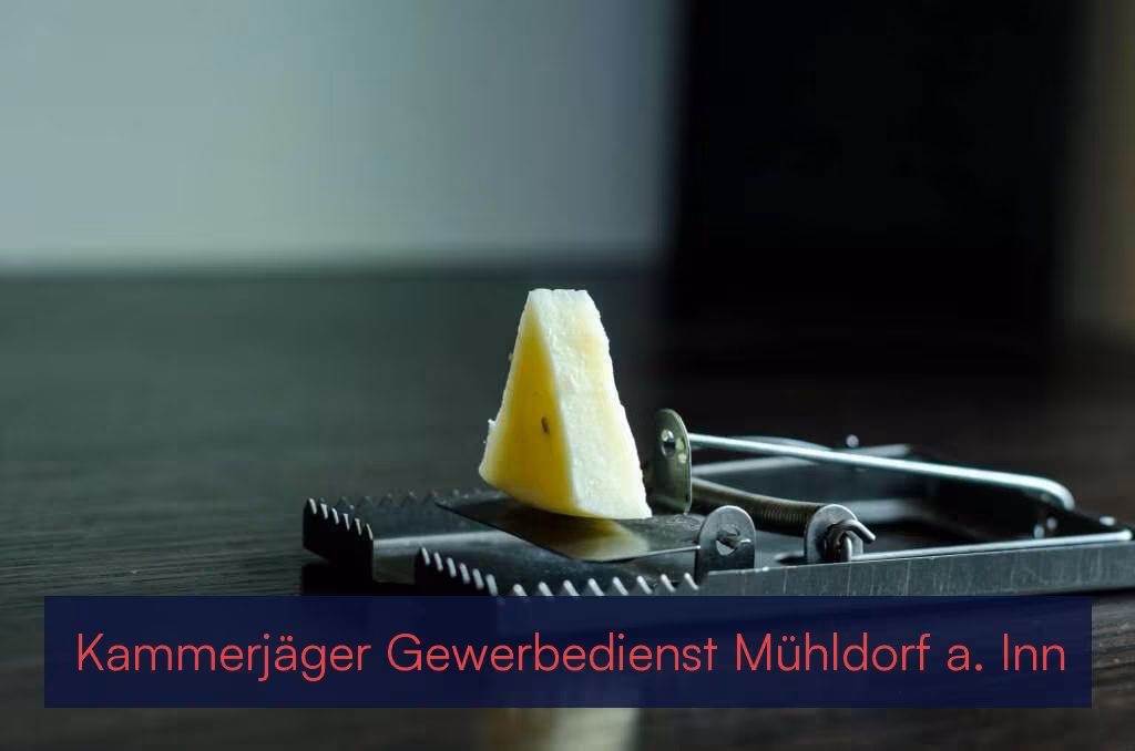 Kammerjäger Gewerbedienst Mühldorf a. Inn