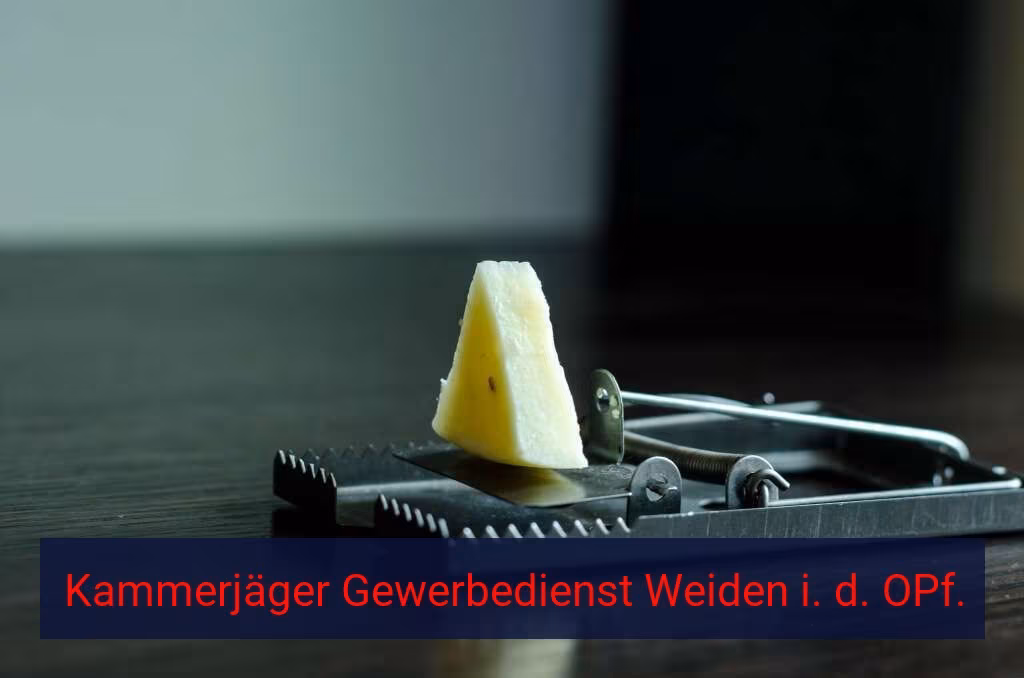 Kammerjäger Gewerbedienst Weiden i. d. OPf.