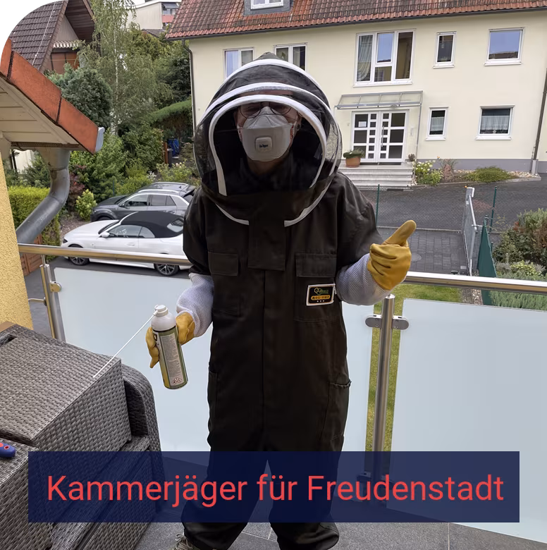 Kammerjäger für Freudenstadt