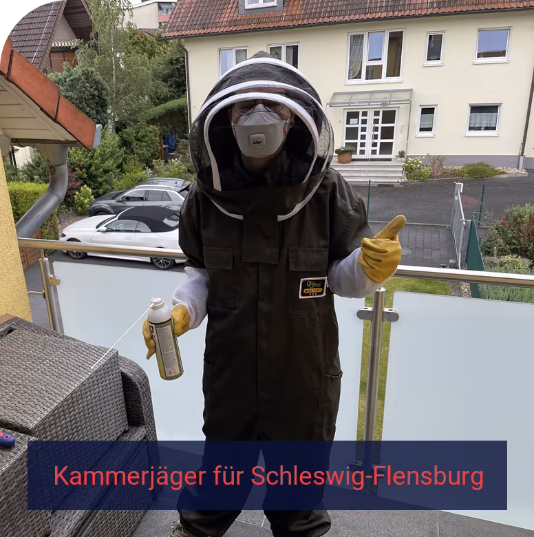 Kammerjäger für Schleswig-Flensburg